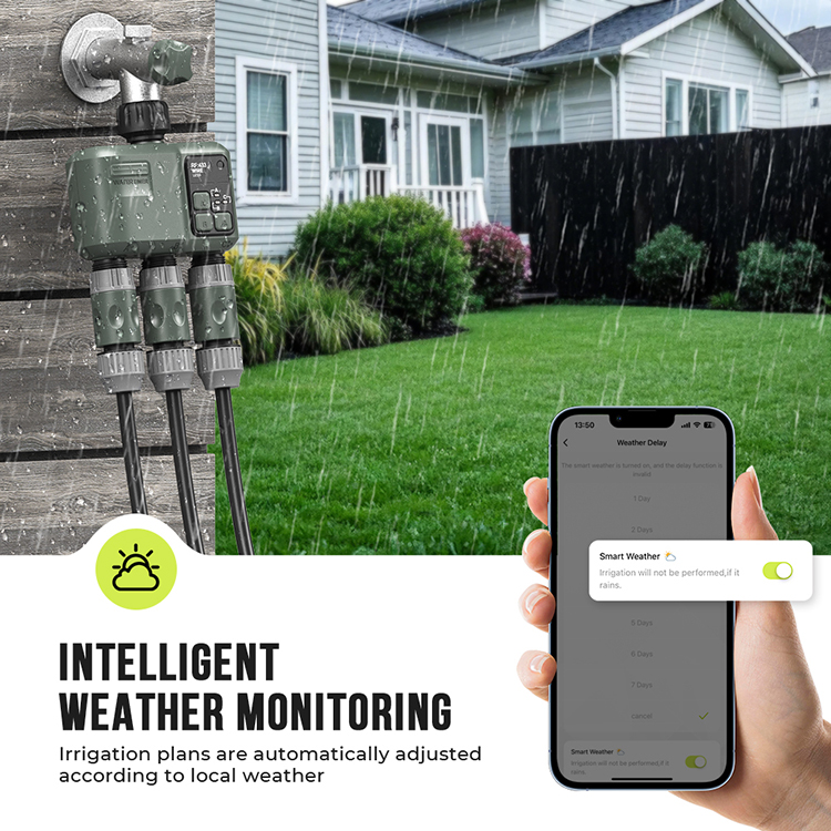 Smart Garden Design - New Design Three Outlet Smart RF
