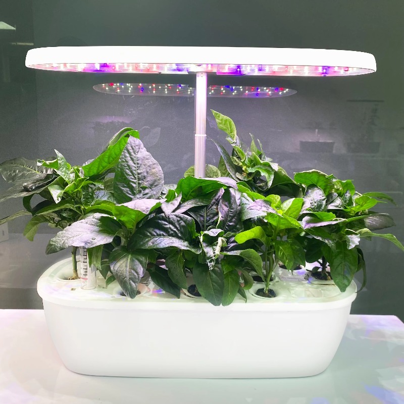 Smart Garden Design - Smart Electronic Indoor Hydroponic Garden System